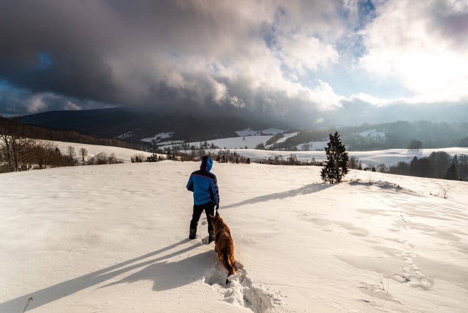 5 ciekawych miejsc i atrakcji w Bieszczadach z dzieckiem