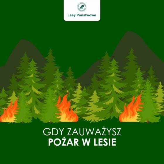 Rośnie zagrożenie pożarowe w lasach regionu