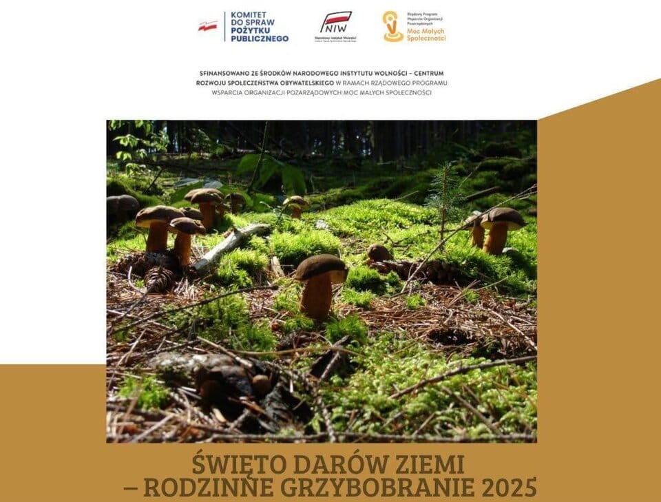 Rodzinne grzybobranie w Moczarach