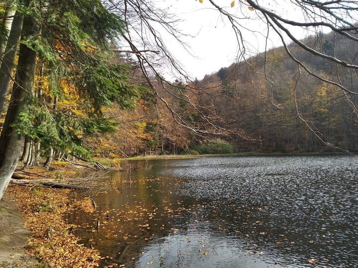 Rezerwat "Zwiezło" powiększony!